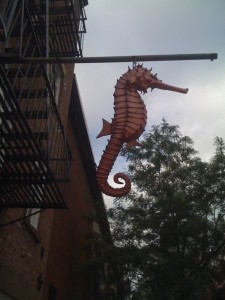 seahorse1-by-tribeca-citizen