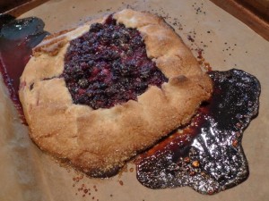 demasco rustic blueberry tart2