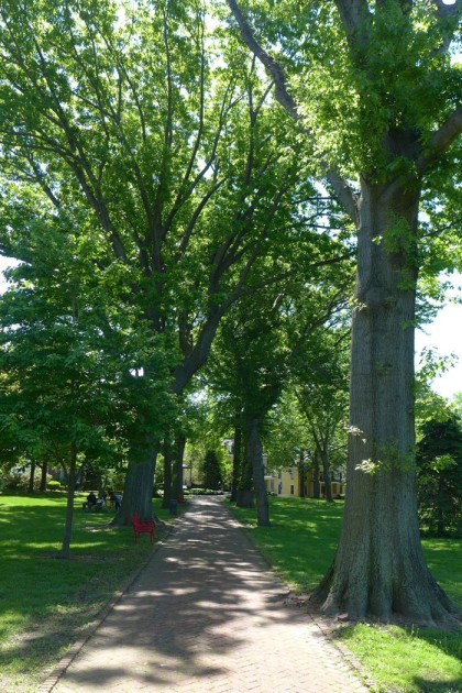 Governors Island allee