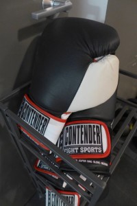 Exceed Physical Culture boxing gloves