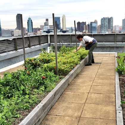 North End Grill rooftop garden by Grand Banks