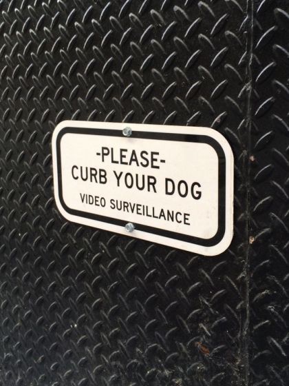 curb your dog on Greenwich