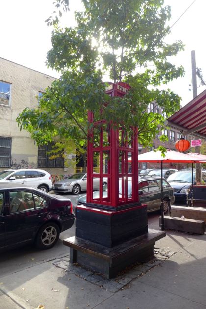 Bushwick phone booth tree