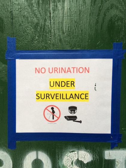 no urination