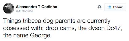 tweet dog owner obsessions