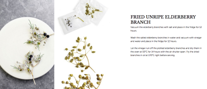 fried unripe elderberry branch