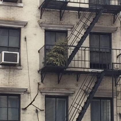 Christmas tree on fire escape by Erin Reese ernreese