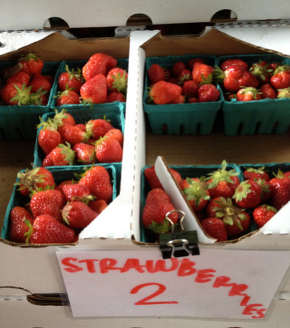 Tribeca CSA strawberries