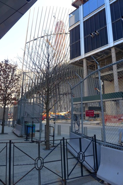 WTC transportation hub see-through