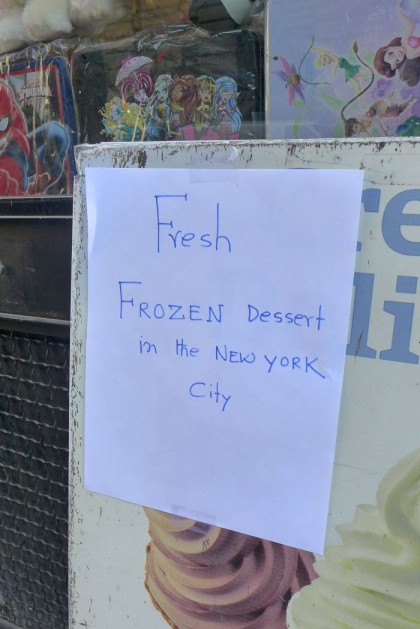 fresh frozen dessert