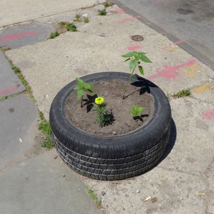 Bed-Stuy tire planter