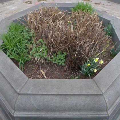 where in tribeca octagon planter 42715