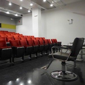 Arrojo Tribeca theater