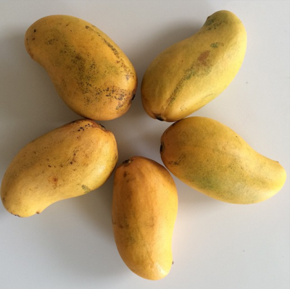 ataulfo mangos