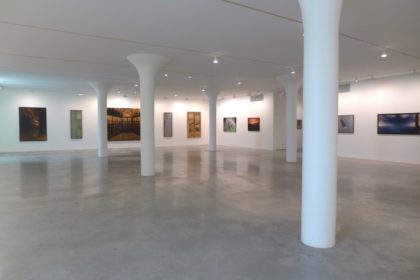 gallery at Fisher Landau