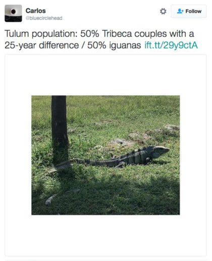 tweet Tulum