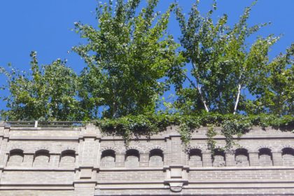 where-in-tribeca-roof-tree