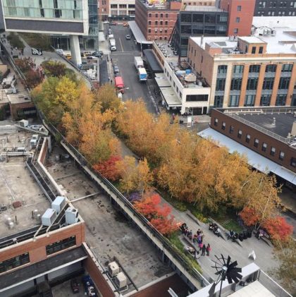 The High Line as seen from the Whitney