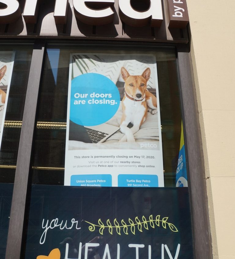 Tribeca Citizen Petco Unleashed on Chambers is closing for good