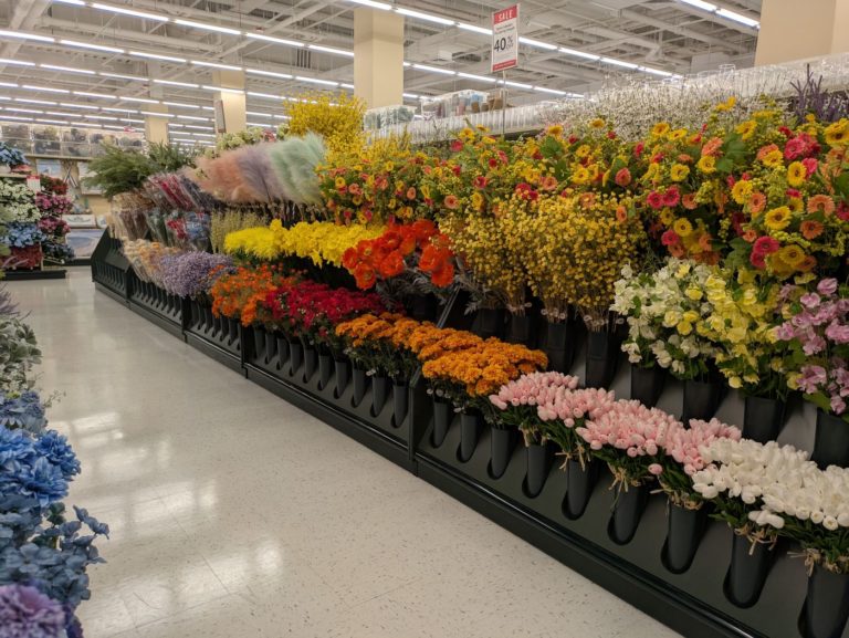 Tribeca Citizen | Hobby Lobby is open